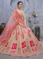 Organza Silk Chiku Bridal Wear Embroidery Work Lehenga Choli